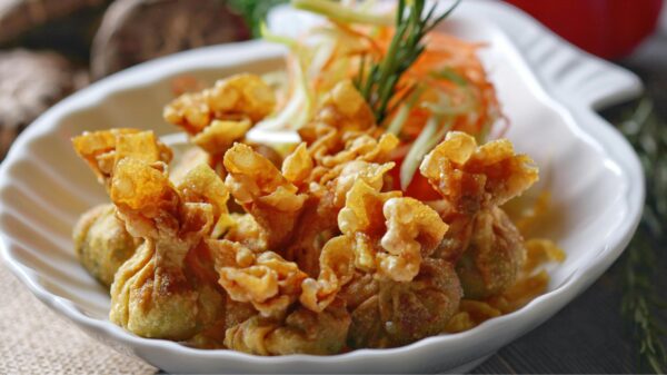 Chicken Wonton